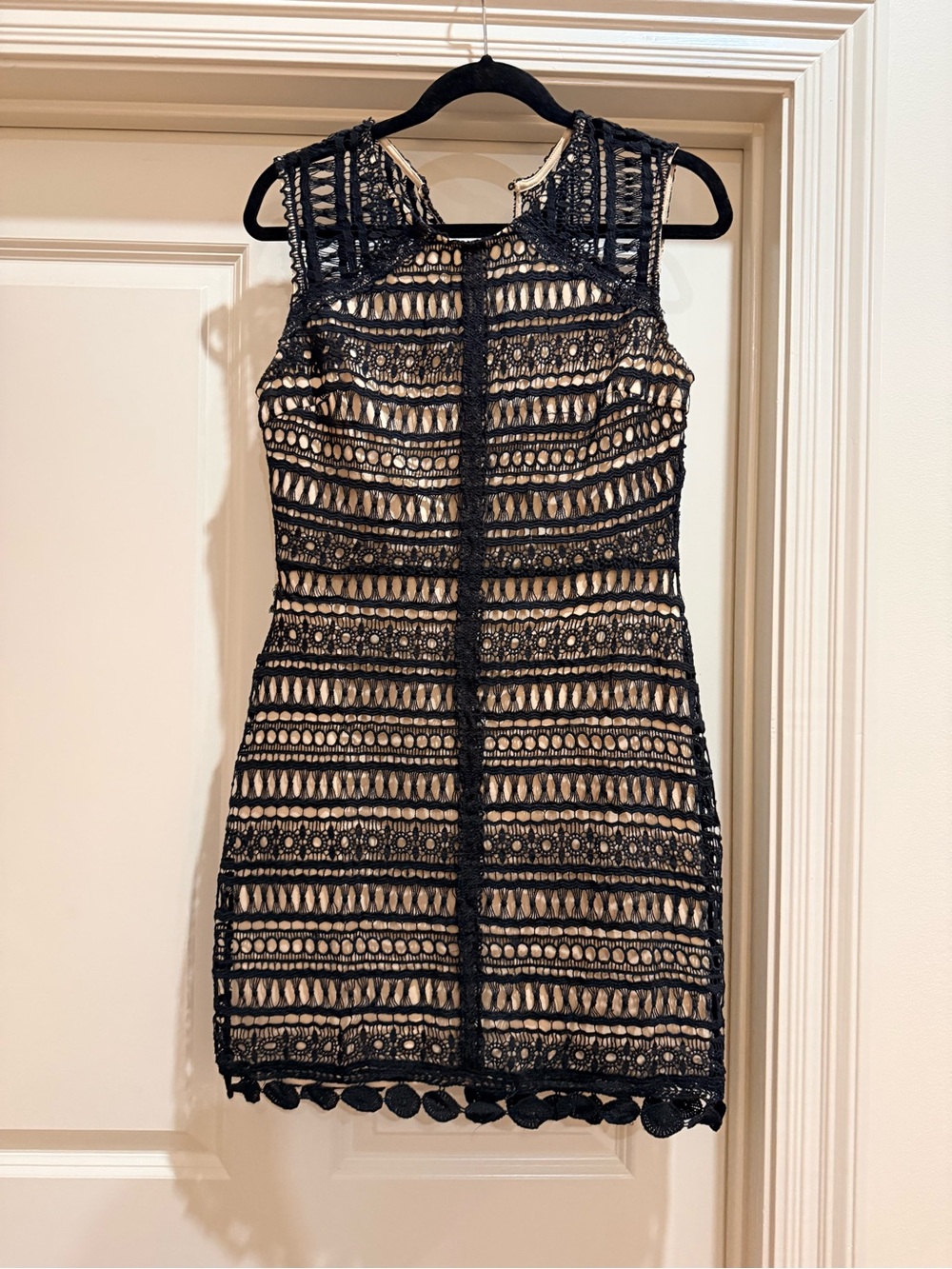 Francesca's Collections Black Lace over Nude Mini Dress